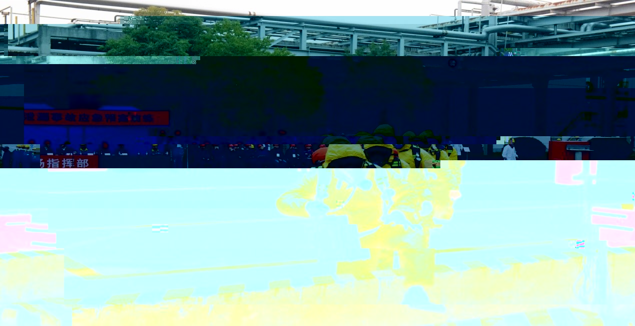 1548910269851421.jpg 507600288973882262.jpg